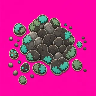 lichen patch, clustered arrangement