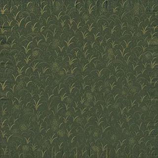 lichen-speckled short woodland grass