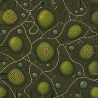 damp forest soil
