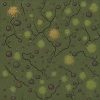 lichen-speckled forest soil