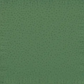 clean short woodland grass
