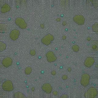 lichen-speckled fine grey gravel