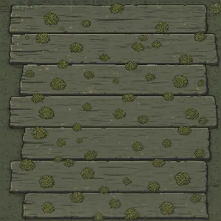 lichen-speckled weathered plank floor