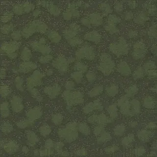 damp low bank moss