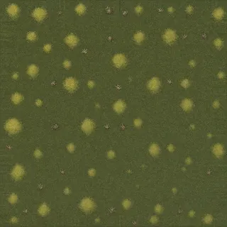 dust-covered ground moss