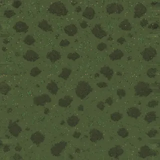 damp forest soil