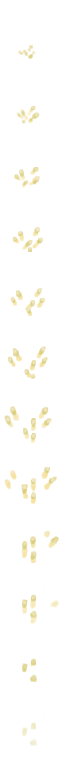 Preview of 5x special effects - 2D