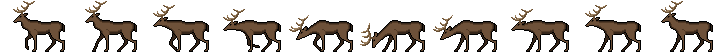Preview of Animated Wild Animals