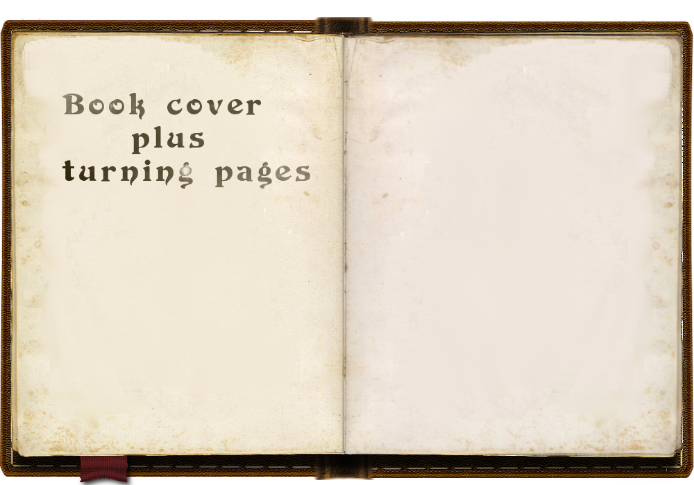 Preview of Book cover
