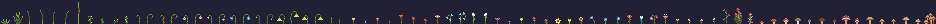 Preview of Flowers