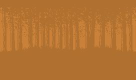 Preview of Forest Background